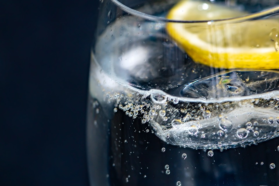 Gin 101: Was ist Gin und wie unterscheidet er sich von anderen Spirituosen?