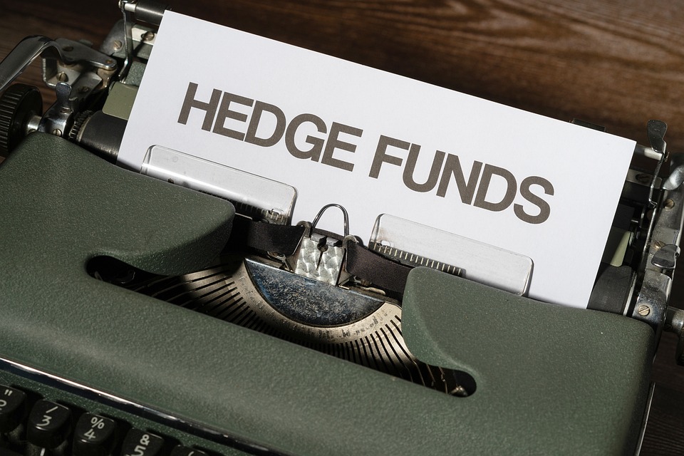 Hedgefonds: Strategien und Kontroversen
