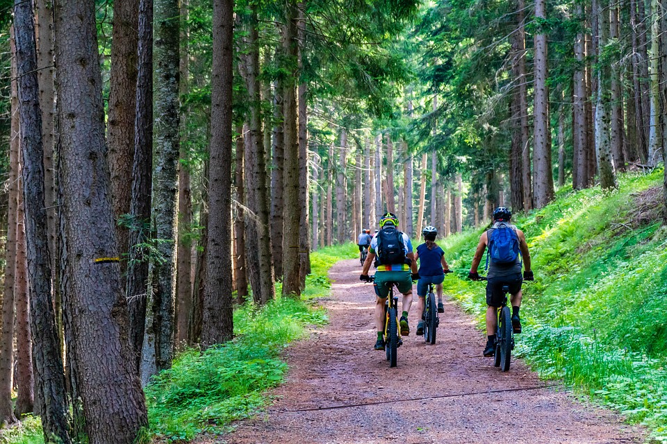 Pedelec: Alles, was du über diese E-Bike-Variante wissen musst
