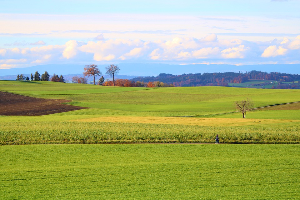 Was ist Brutto? Eine umfassende Erklärung und Bedeutung des Begriffs im Kontext von Gehalt und Steuern