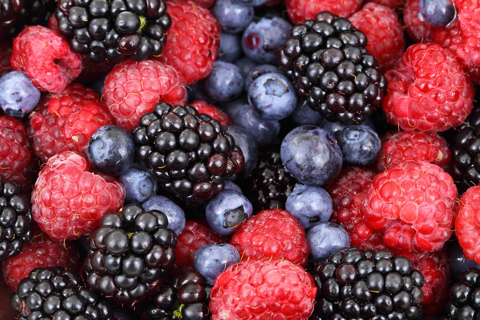 Ernährung und Krebs: So unterstützen Sie Ihre Genesung nach der Diagnose | Finanzexperte.
