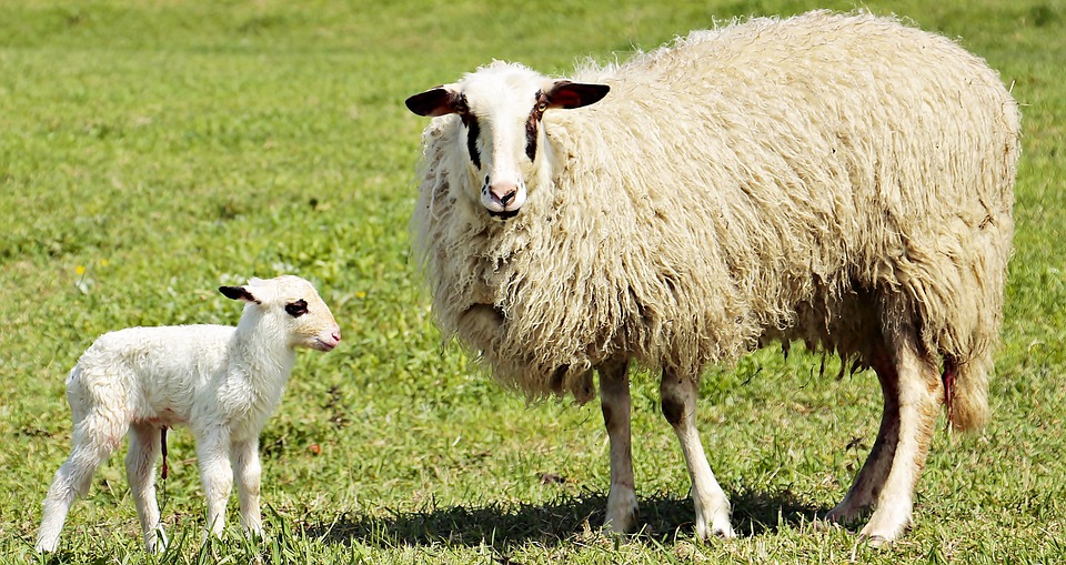 EWE abgemahnt: Verbraucherzentrale beklagt verzögerte Energierechnungen und Guthabenauszahlungen