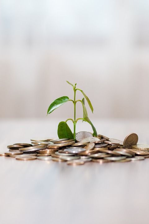 Investieren in Dividenden-Aktien: Strategien und Faktoren im aktuellen Marktumfeld von Finanz-Experte Torsten Tiedt.