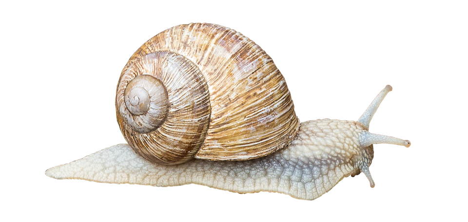 Preisminderungsrecht für langsames Internet: So nutzen Verbraucher ihr Recht