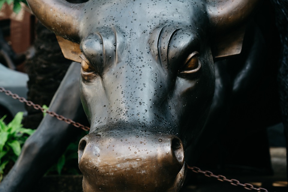 Bullenmarkt 2024: Finanzexperten diskutieren über Aktienmärkte in Deutschland und den USA
