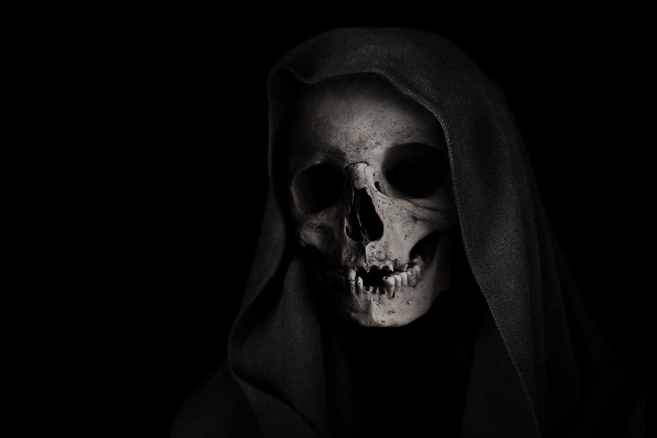 Reaper Financial-Gründer sieht Ripple als nächste Kryptomarkt-Spitze