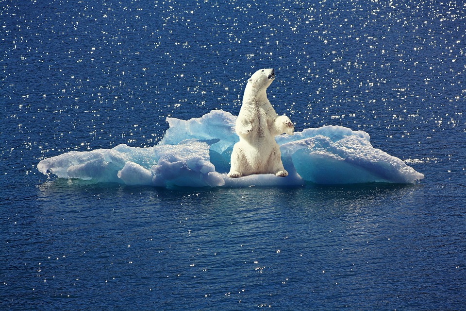 Klimawandel: Experten warnen vor unbezahlbaren Versicherungen durch Extremwetter.