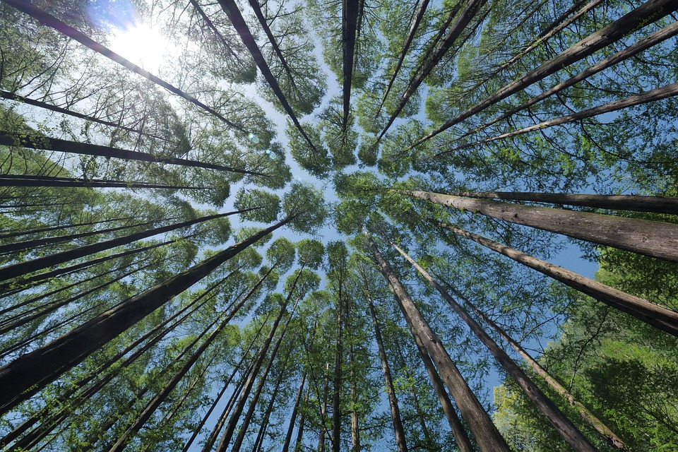 Canopy Growth stößt erfolgreich Marke „This Works“ ab – Börse zunächst nicht begeistert