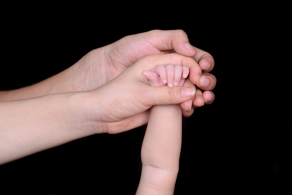 Finanzexperten unterstützen längeren Zeitraum für Abbau von Steuerentlastungen beim Agrardiesel.