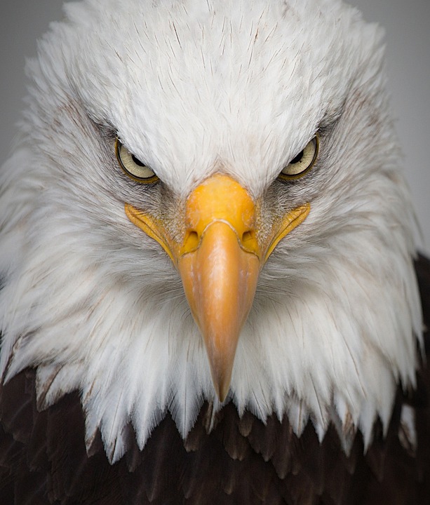 Revolutionärer Rohstoff-Tsunami: Warum Agnico Eagle in Canada Nickel investiert hat