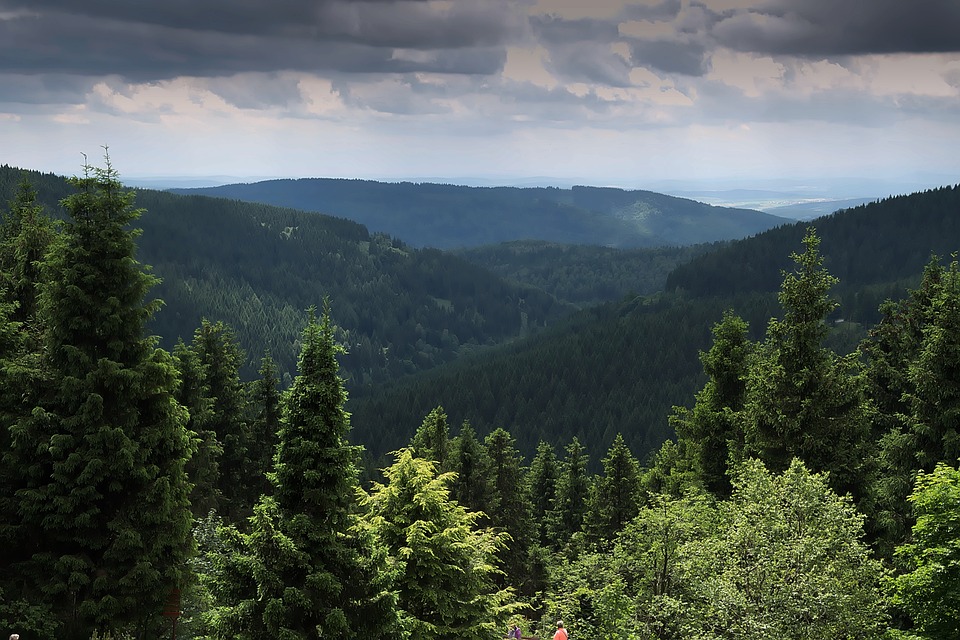 Energieberatung in Thüringen: Kostenlose Hilfe zur Senkung von Strom- und Heizkosten weiterhin verfügbar