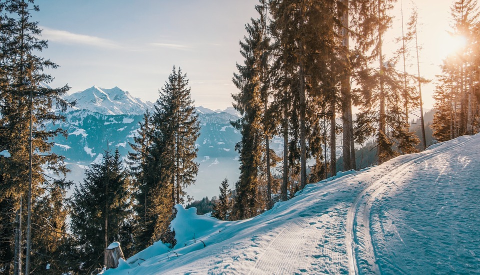 Ski und Snowboard: Wichtig für Finanzexperten – Versicherungsschutz auf der Piste
