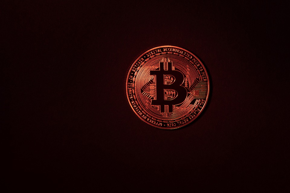 Bitcoin erreicht neues Allzeithoch, Ordinals erleben Comeback, TAO und MATIC in Top 20, Chainlink bei 100 US-Dollar? Die Krypto-Prognosen für 2024.