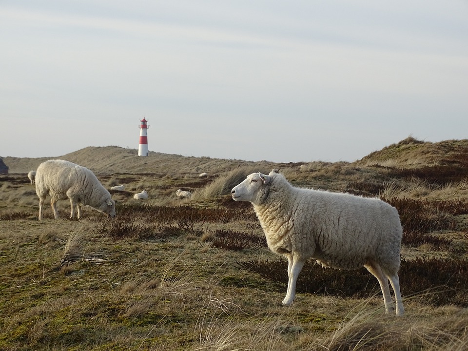 Sylt: Luxuriöses Haus zur Miete für 10.000 Euro pro Monat – Ein Finanzexperte analysiert das Angebot