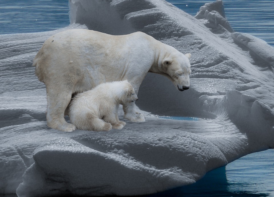 Klimawandel bedroht Arktis: Eis schmilzt schneller als je zuvor