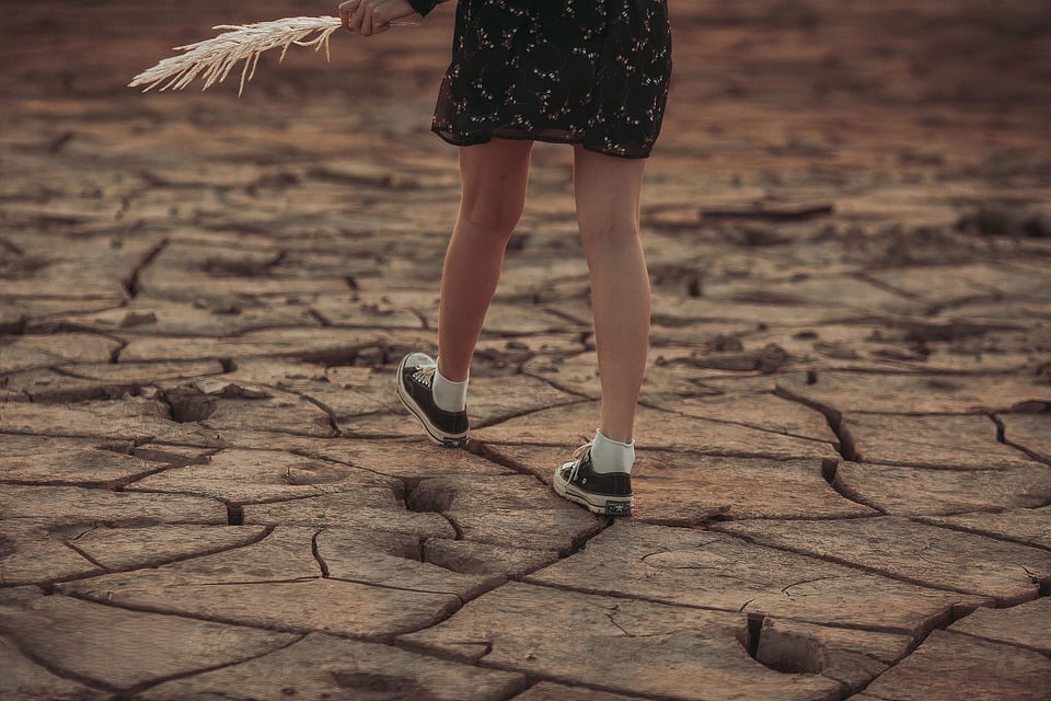 Dürre und Hitze: Klimawandel bedroht Ernteerträge in Deutschland