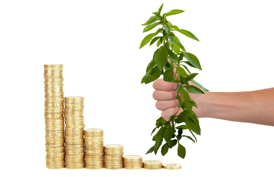 Investieren mit Leidenschaft: Portfolio diversifizieren oder konzentrieren?