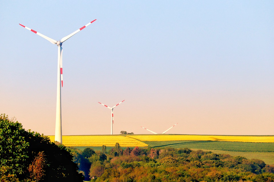 Klimaschutz: Neue Maßnahmen zur Reduzierung von CO2-Emissionen geplant.