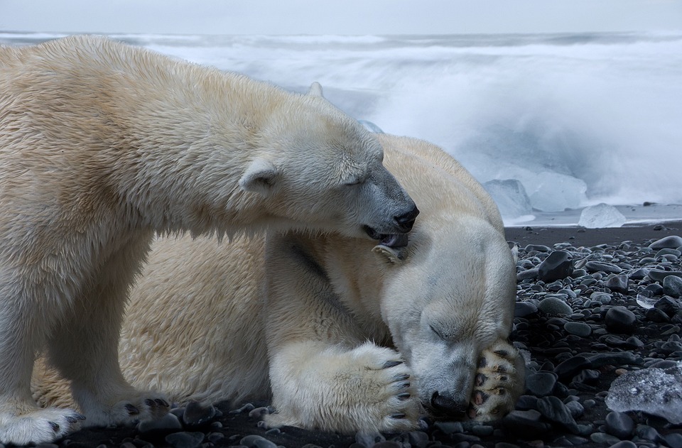 Klimaschutz: Regierung plant strengere Maßnahmen zur CO2-Reduktion   

Title: Klimaschutz: Regierung plant strengere Maßnahmen