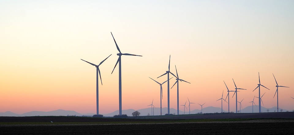 Klimaschutz: Wissenschaftler warnen vor dramatischen Folgen für die Artenvielfalt