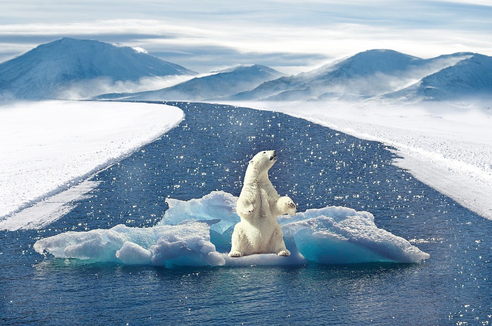Klimawandel: Gletscherschmelze erreicht alarmierende Ausmaße