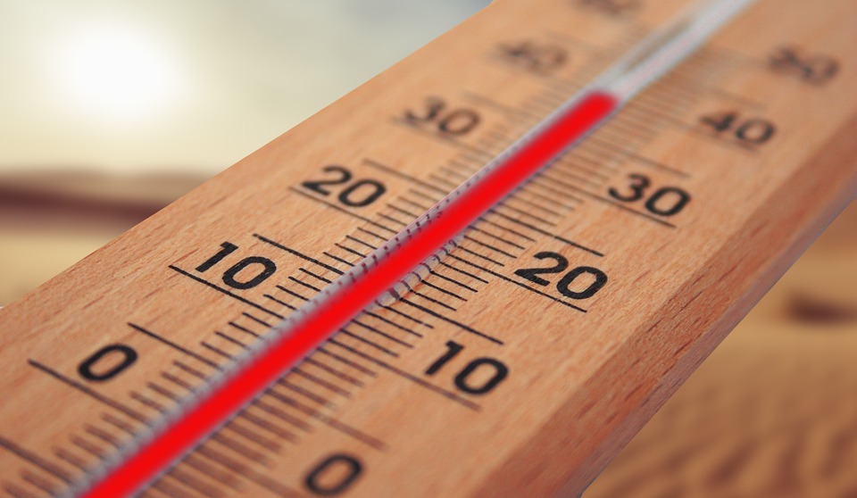Klimawandel bedroht Artenvielfalt – Schutzmaßnahmen dringend erforderlich!