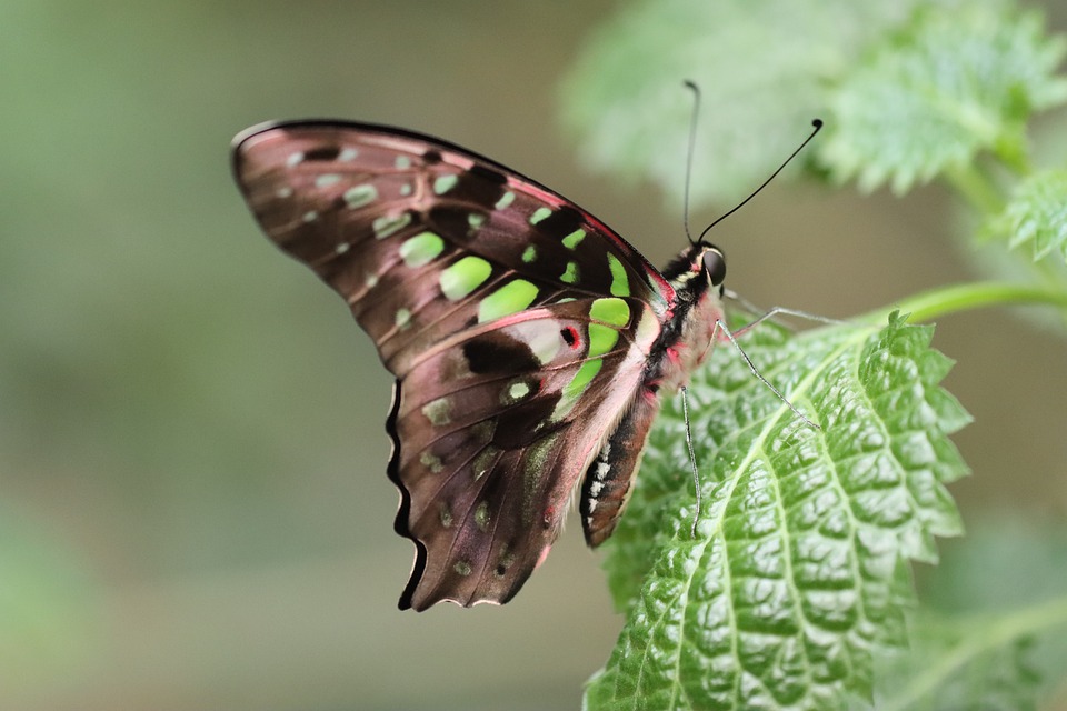 Nasdaq 100 leicht im Minus: Diese Aktien steigen, jene fallen