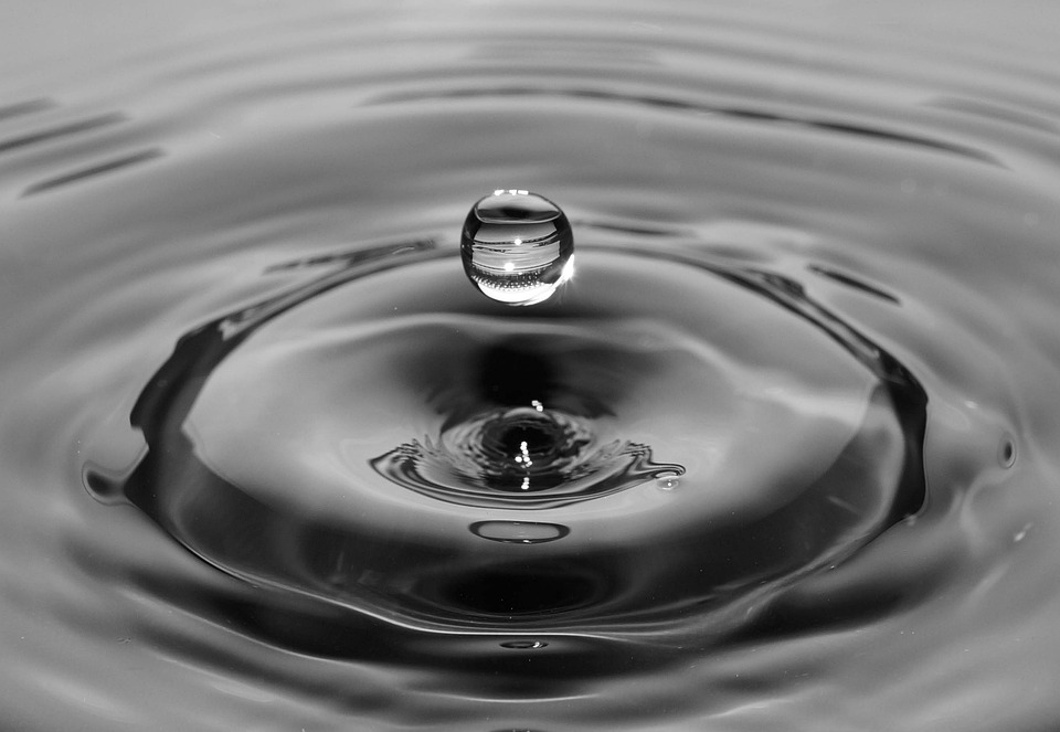 Ripple bereitet sich auf Einreichung des Einspruchsschriftsatzes gegen SEC vor