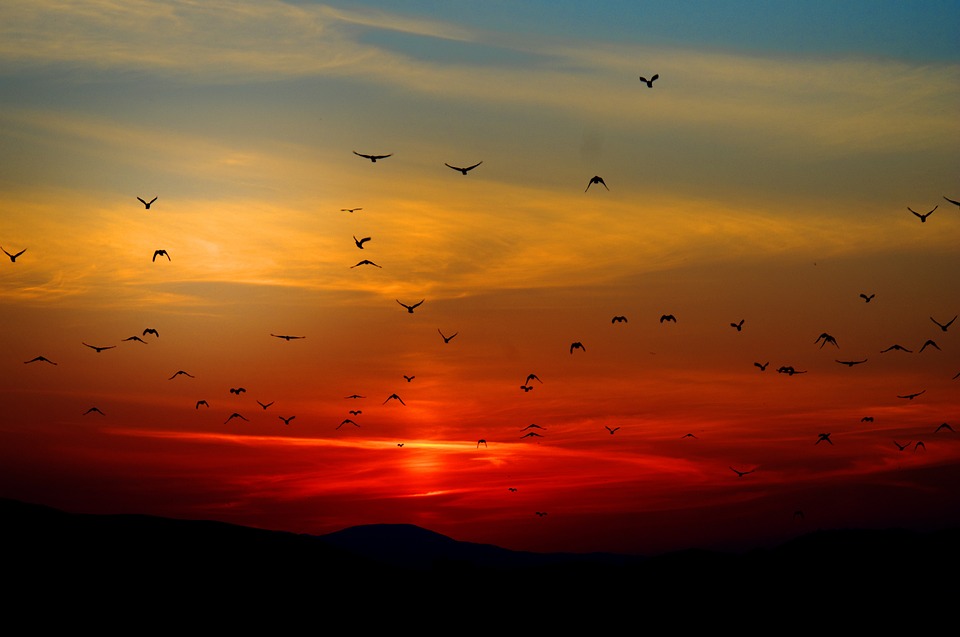 Sunrise Business und AWS: Cloud-Pakete für KMUs in Planung