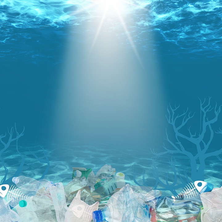 Umweltverschmutzung durch Plastikmüll: globales Problem erfordert dringende Maßnahmen  .

Keyword: Plastikmüll 

Titelvorschlag: 
Plastikmüll: Globales Problem erfordert Maßnahmen