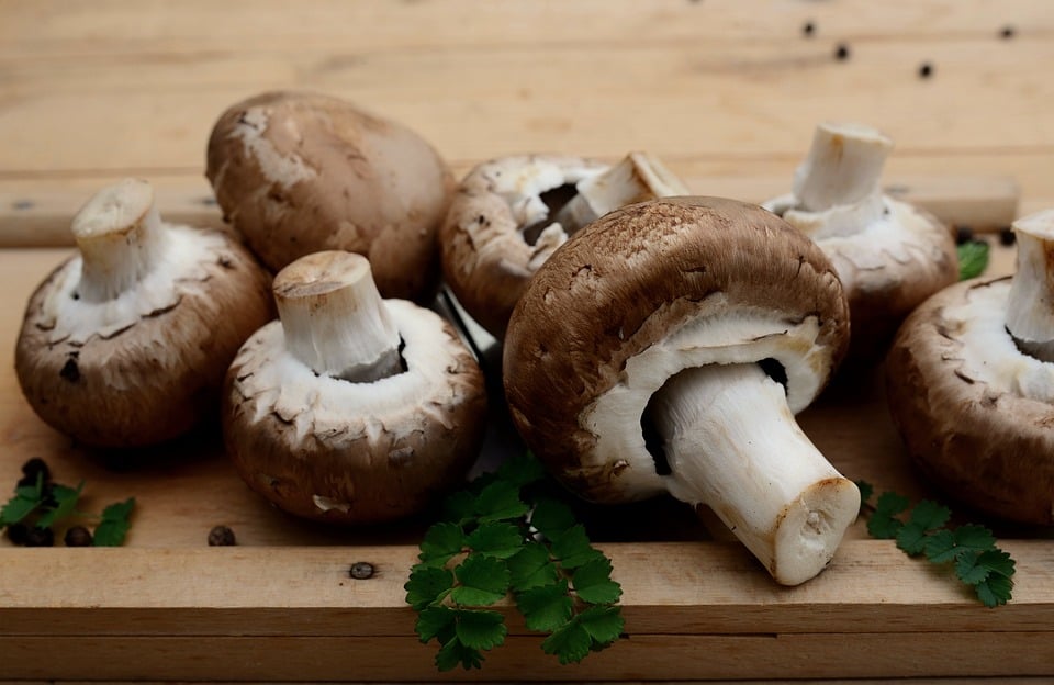 Zutat in Superfoods entdeckt: Schwarze Johannisbeere soll das Immunsystem stärken und Heilung fördern