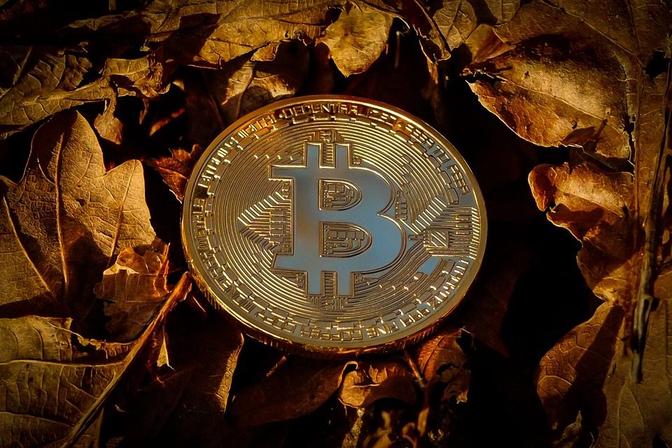 Aktuelle Kursentwicklungen von Bitcoin, Ripple, Bitcoin Cash und Ethereum