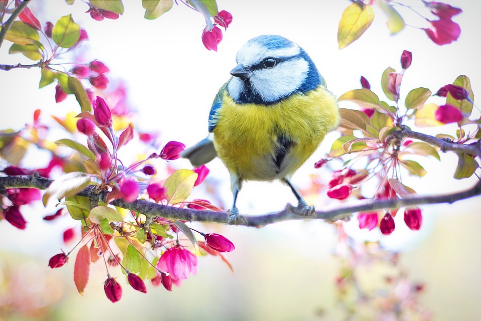 Frühling in der deutschen Wirtschaft: Aufschwung erwartet