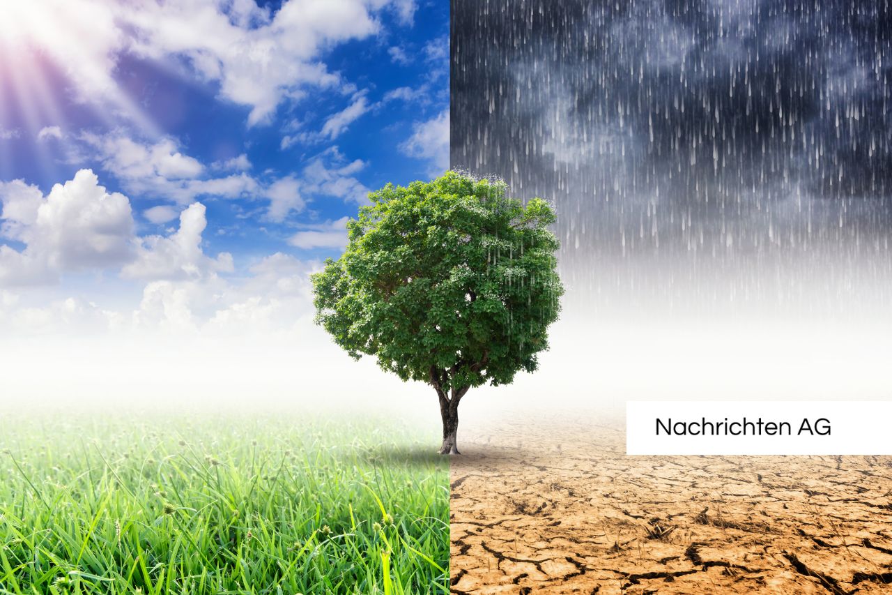 Rückschrittskoalition: Klimaschutz ignoriert, Natur leidet!