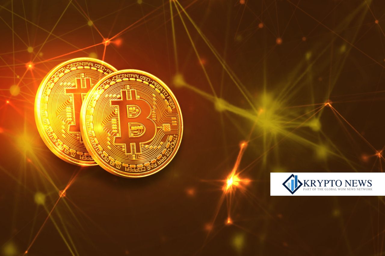 Krypto-Kräftemessen: Institutionelle Käufer setzen auf Bitcoin und XRP, während private Anleger zögern